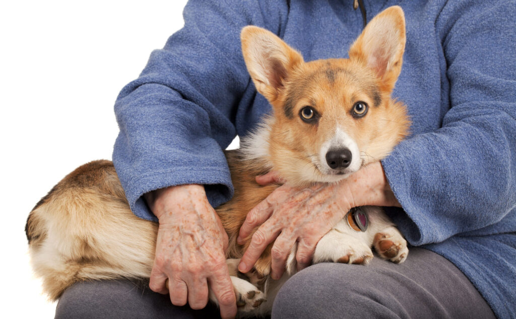 A influência dos pets na saúde mental dos idosos